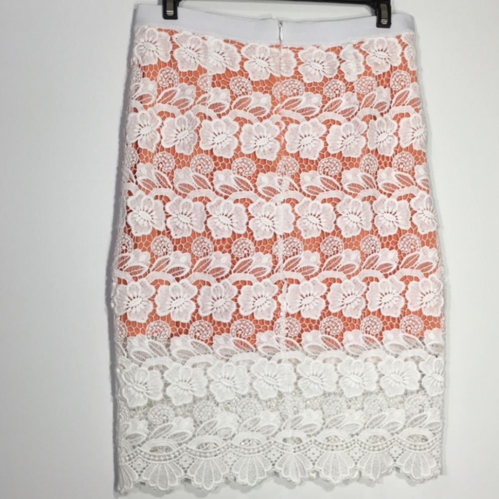 Rebecca Minkoff Angelica Crochet Lace Pencil Skirt XS - Picture 7 of 8